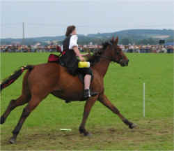 isen02_07.jpg (65605 Byte)