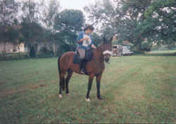 leo7.jpg (45876 Byte)