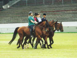 Pi02.jpg (46127 Byte)