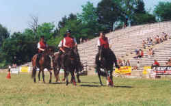 Pi04.jpg (48684 Byte)