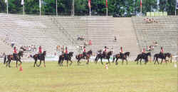 Pi05.jpg (68089 Byte)